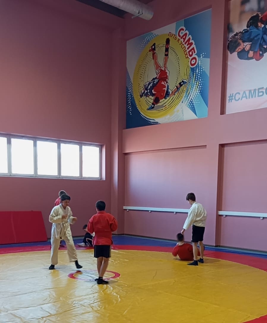  «Самбо в школу»